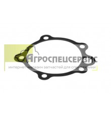 99448739 Прокладка распредвала CNH